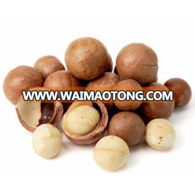 Macadamia Nuts / Organic Macadamia Nuts / Raw Macadamia Nuts in shell