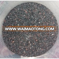 Black Rice of Nepal/Organic black Rice of Nepal/Healthy black Rice