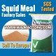 Sell Squid Meal Feed Grade High Protein